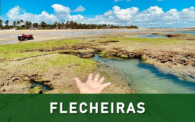 nordestepasseios-img-passeio-flecheiras-003